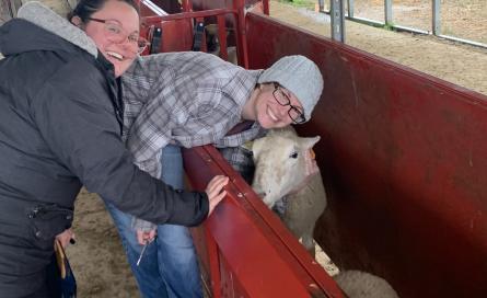 Courtney and Abby sampling a very polite sheep.