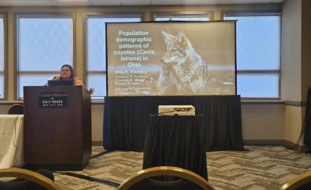 Woman at a podium giving a presentation before a crowd. Slide shows title "Population Demographic patterns of coyotes (Canis latrans) in Ohio"