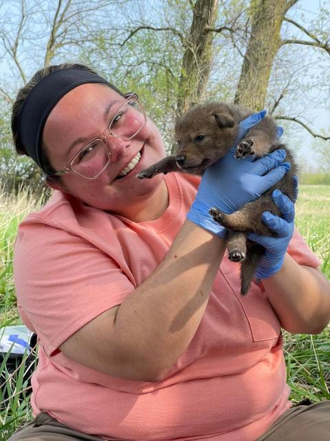 Abby holding coyote pup