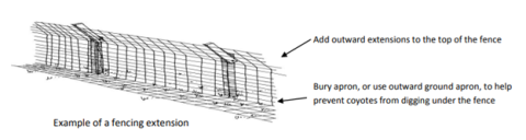 Fence showing outward extension to prevent jumping over and indicating that an apron is buried underground to prevent digging underneath