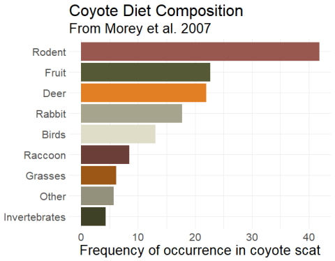 Bar Graph showing frequency of several diet items in coyote scats from a study by Morey et al. 2007. Rodents 41.8%, deer 22.0%, fruit 22.7%, rabbit 17.7%, birds 13.1%, raccoon 8.5%, grasses 6.2%, invertebrates 4.3%, and other food items 5.7%.