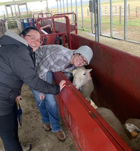 Courtney and Abby sampling a very polite sheep.