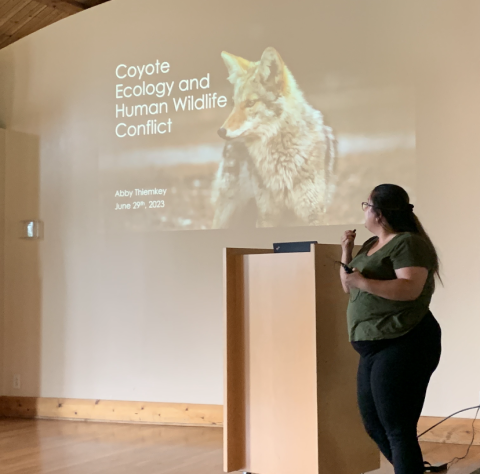 Image of Abby giving a talk in front of a projector screen showing an image of a coyote