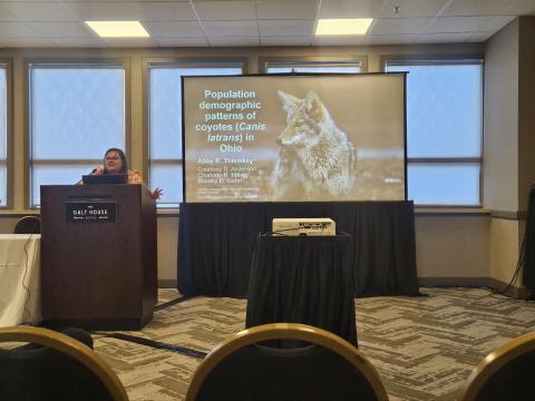 Woman at a podium giving a presentation before a crowd. Slide shows title "Population Demographic patterns of coyotes (Canis latrans) in Ohio"